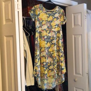 LulaRoe Carly dress spring floral print